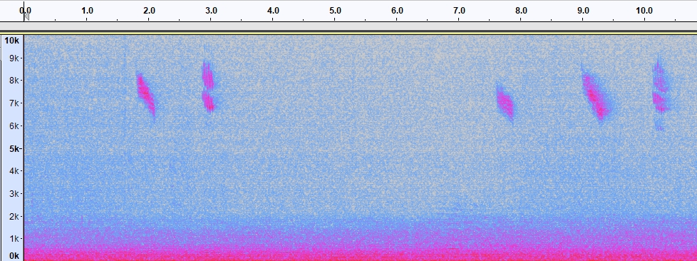 spectrogram_RE_B_