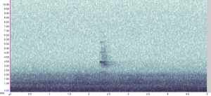 Moorhen kiddick call