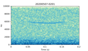 20200507-0201-CB4-Gillings-PS-SF-(check)