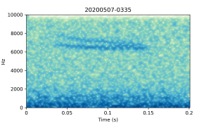 20200507-0335-CB4-Gillings-PS-SF-(check) B