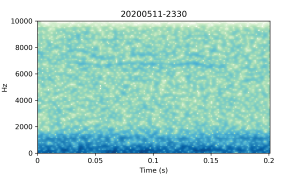 20200511-2330-CB4-Gillings-PS-XX-(zzz)