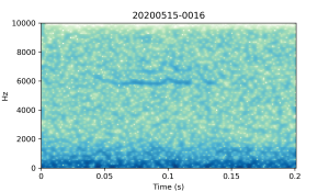 20200515-0016-CB4-Gillings-PS-SF-(check)