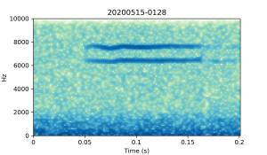 20200515-0128-CB4-Gillings-PS-SF-(check) A