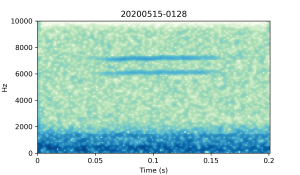 20200515-0128-CB4-Gillings-PS-SF-(check) B