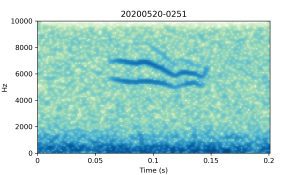 20200520-0251-CB4-Gillings-PS-SF B