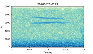 20200521-0119-CB4-Gillings-PS-XX-(zzz)