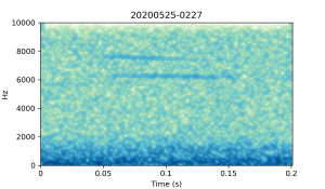 20200525-0227-CB4-Gillings-PS-XX-(zzz)