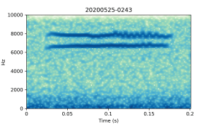 20200525-0243-CB4-Gillings-PS-XX-(zzz)