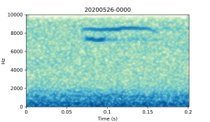 20200526-0000-CB4-Gillings-PS-XX-(zzz)