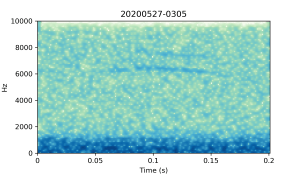 20200527-0305-CB4-Gillings-PS-XX-(zzz)