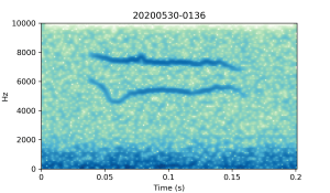 20200530-0136-CB4-Gillings-PS-SF-(check) A