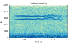 20200530-0136-CB4-Gillings-PS-SF-(check) B